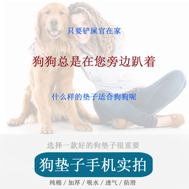 Pomeranian nhu yếu phẩm hàng ngày puppy mat pet mat tổ kennel mat thỏ mèo mat bốn mùa pad phổ mùa hè đồ uống nước cho chó