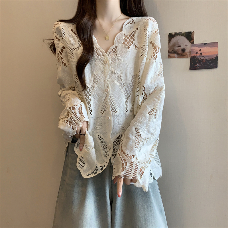 Plus-Size Lace Embroidered Hollow-Out Shirt, Elegant and Versatile, Unique Design, Long-Sleeved Top for Women, Spring 2025