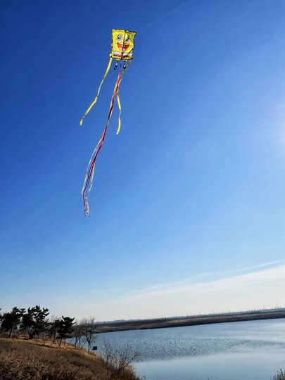 新款海绵宝宝风筝儿童手持卡通微风易飞潍坊高档成人初学者专用轮