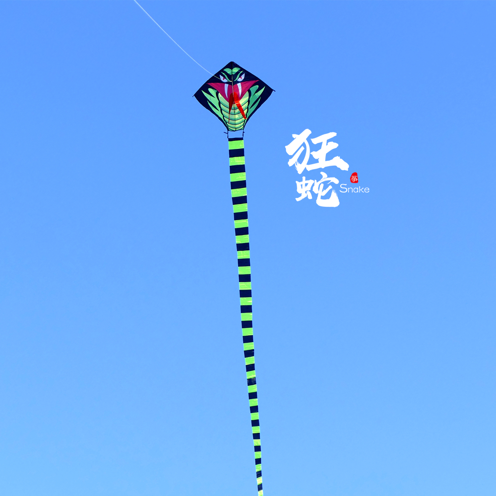 2021 new fluke tail Snake Kite Big Green Snake Kite Children Easy To Fly Adult Long Tail Kite With Wire Wheel