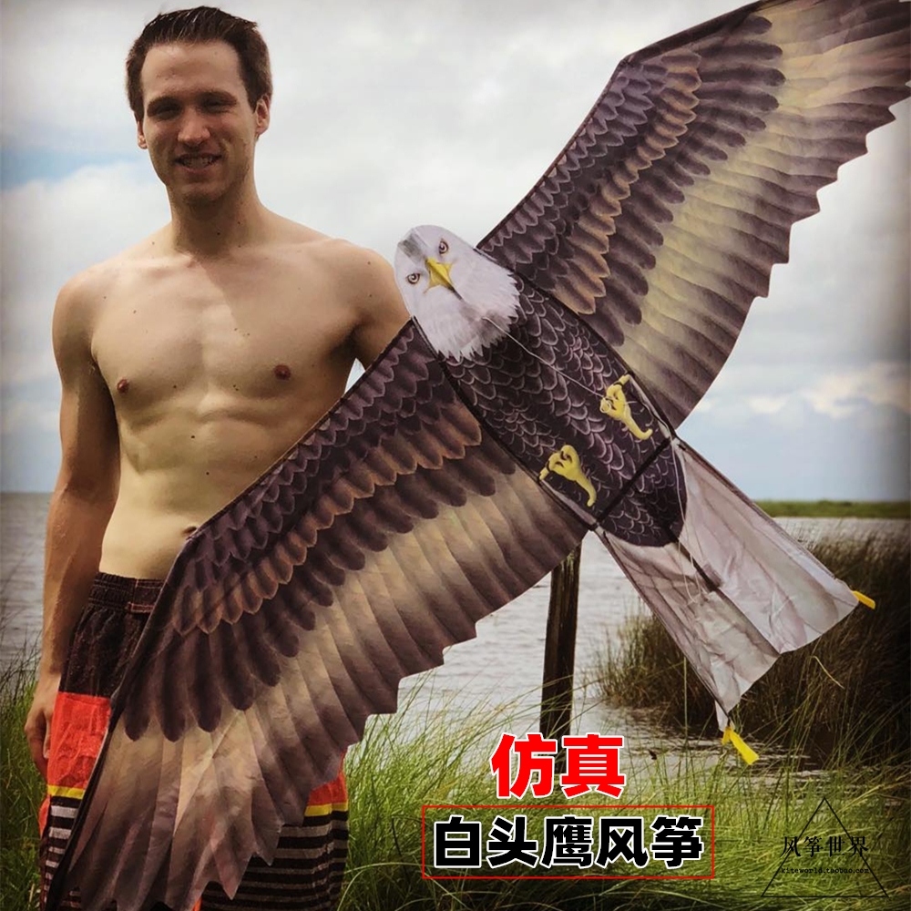 Foreign Trade Quality Easy Flying Emulation White-Headed Eagle Kite Resistant Strong Wind Adult Children Boutique Kite Kite Kite