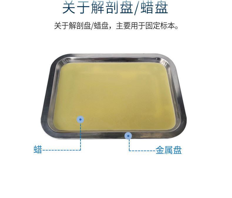 小动物解剖蜡盘 不锈钢解剖蜡盘 大鼠/小鼠/青蛙小动物手术解剖盘