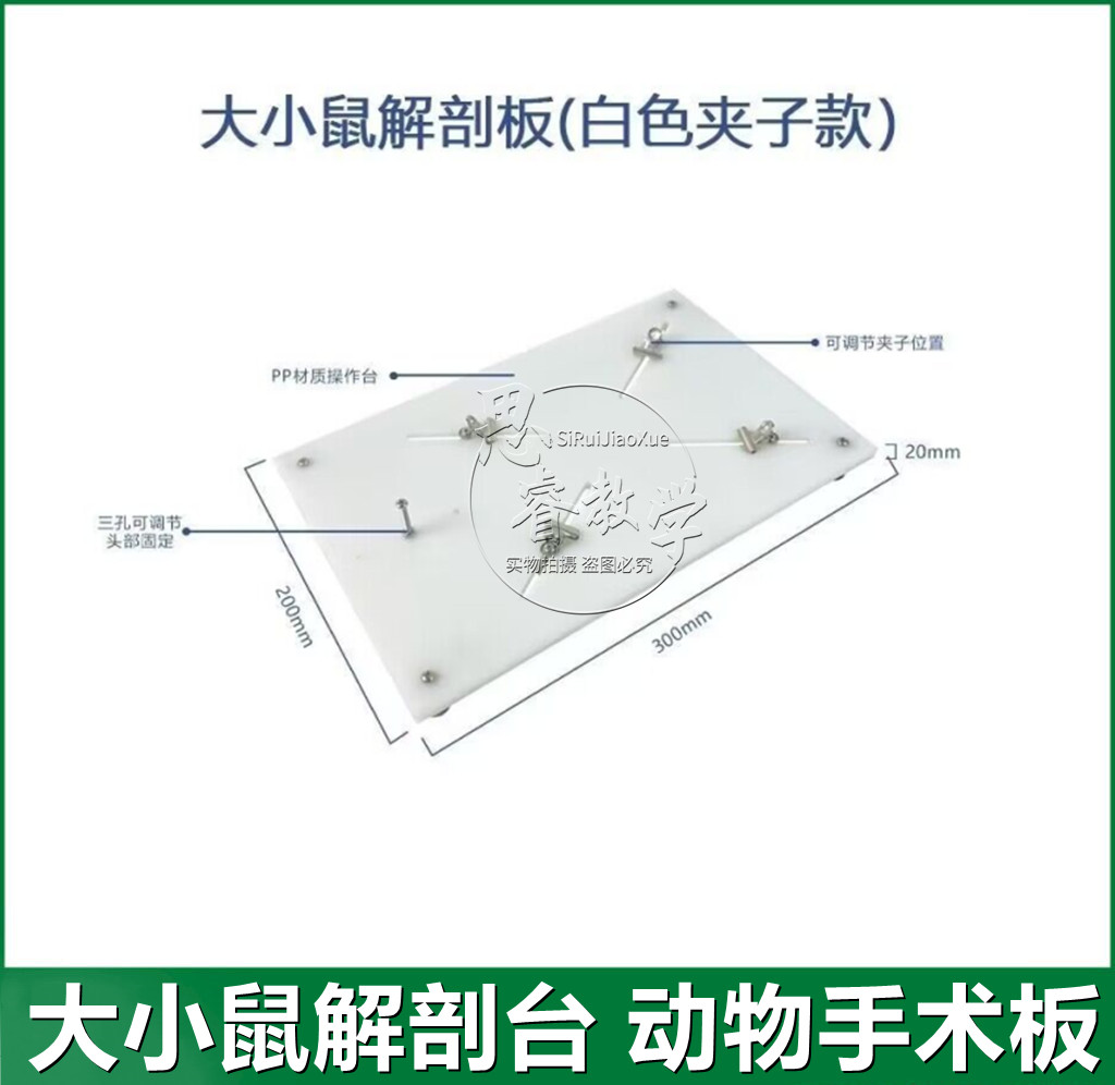 小鼠解剖板 小鼠手术台 大鼠解剖板 鼠解剖台 大鼠手术台 固定板