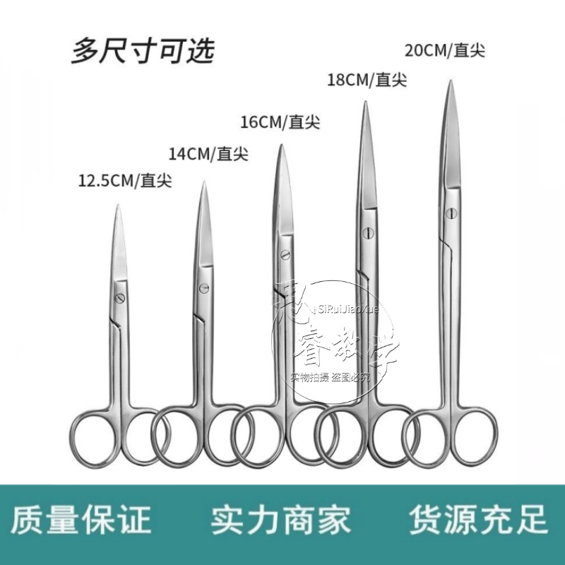 不锈钢大鼠小鼠 眼科剪 手术剪 组织剪 眼科镊 小动物解剖剪 刀柄