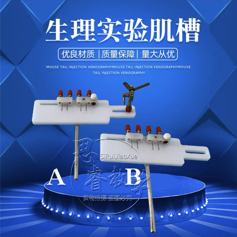 生理实验机槽 肌动器 实验肌槽 动物实验 机槽