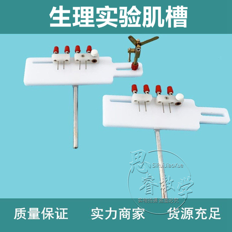 生理实验用的肌动器 单收缩复合收缩强直收缩实验 生理实验机槽