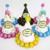 Children Baby year old boy girl Princess Cartoon Hair ball Creative birthday party Birthday hat