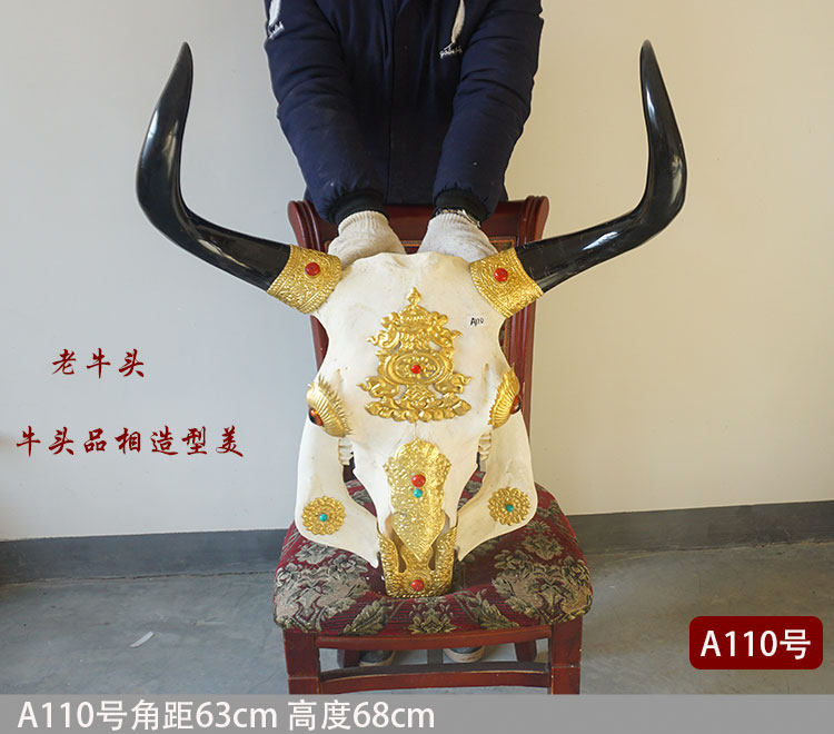 Cow Skull Decoration Craft Gift Ornament Yak Skull Decoration Specimen Wall Hanging Tibetan Area Specimen Feature Wall Decoration Real Cow Skull