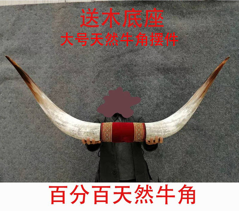 Horns Swing Piece Crafts Genuine Horn Living Room Bookroom Desk Yak Horn Home Adornment Gift
