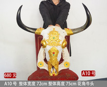 Special sale of stuffed copper cow shepherd skull handicraft specimens