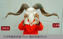 Natural Goat Skull Handiwork Sheep Head Specimen Pendant Tibetan Area Real Bull Head Goat Head Home Residence Ornament Pendulum