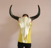 Bull Skull Handicraft Yak Skull Adornment Real Bull Goat Skull Specimen 55cm Featured Handmade Props