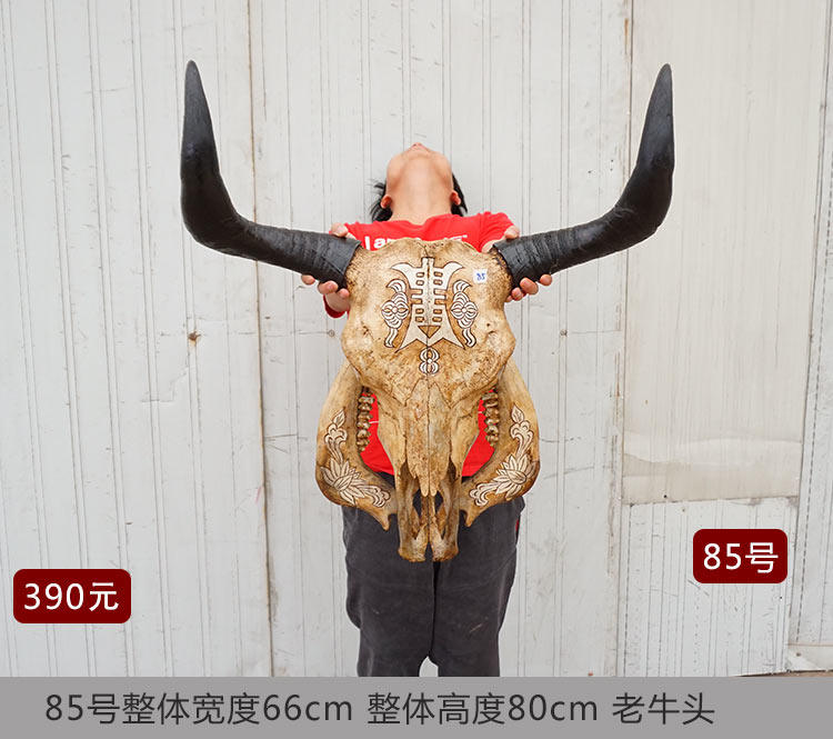 Natural yak skull craft gift decoration real cow head cow head decoration Tibetan characteristics wall decoration handicraft wall hanging