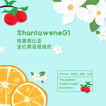 Old Deer Friend Ethiopia Santa Vini Washed Boutique Pure Black Coffee Bean 100g