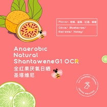 Old Deer Friend Santa Vini Ethiopia Ana Sun Boutique Pure Black Coffee Bean 100g