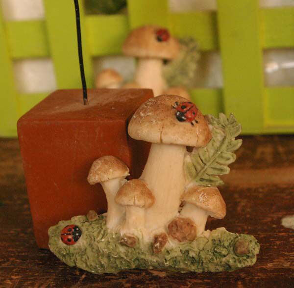 Multi-meat plant flower pots Decorative Pendulum Decorated Meat Parquet Potted Potted Decorations Resin Small Mushrooms Random single Price