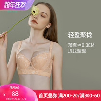 Water flower has steel ring adjustment type gathering large size bra collection of auxiliary milk anti-sagging bra thin underwear women