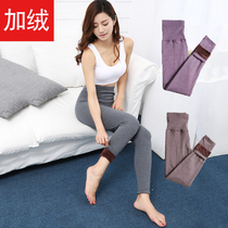 Warm pants Women wear autumn pants thickened velvet pants Cotton wool pants cotton pants high waist wool pants Large size winter