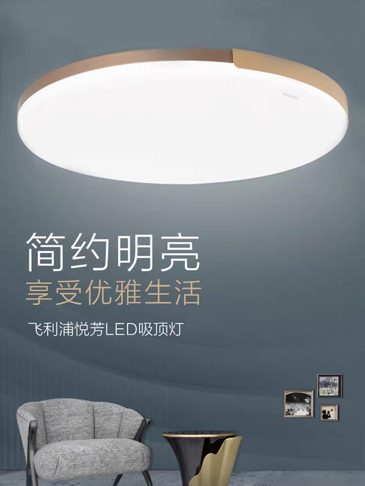 Philips modern minimalist 28W living room lamp
