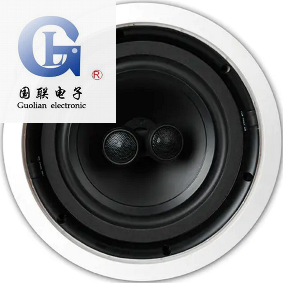 Whewu VX6-SC VX8-SC Ceiling Ceiling Ceiling Speaker Background Music Suction Enabled