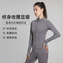 Spring professional yoga sports jacket womens zippered tight-fitting quick-drying stand-up collar long-sleeved top Internet celebrity running fitness clothing