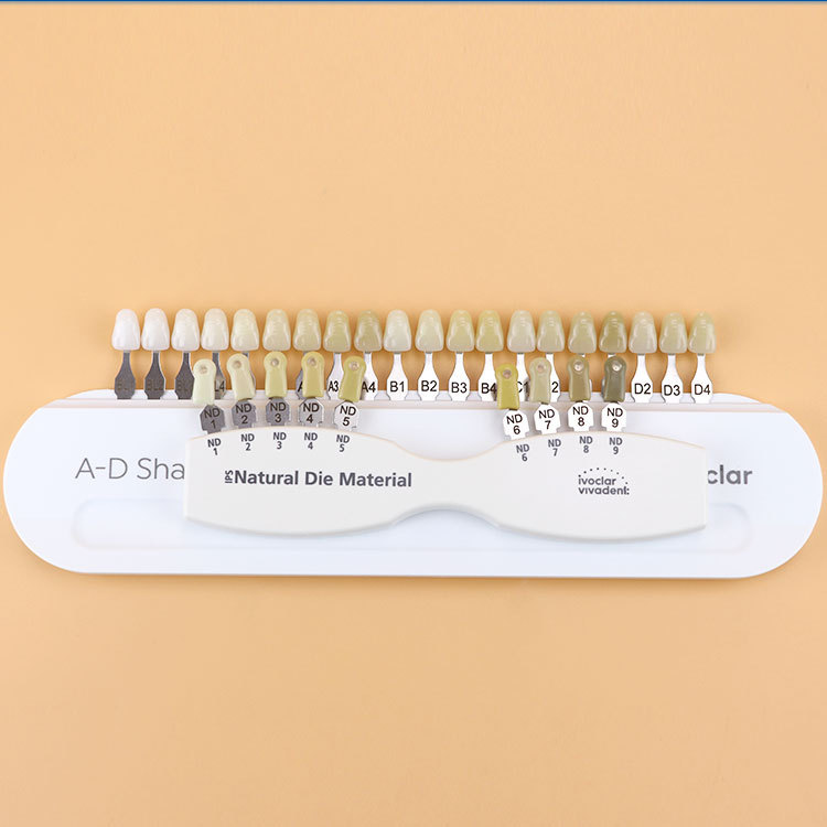 Color Chart 16 Colors 3D Vita 29 Colors Porcelain Veneer Aesthetic Dental Base Dental Materials Color Chart
