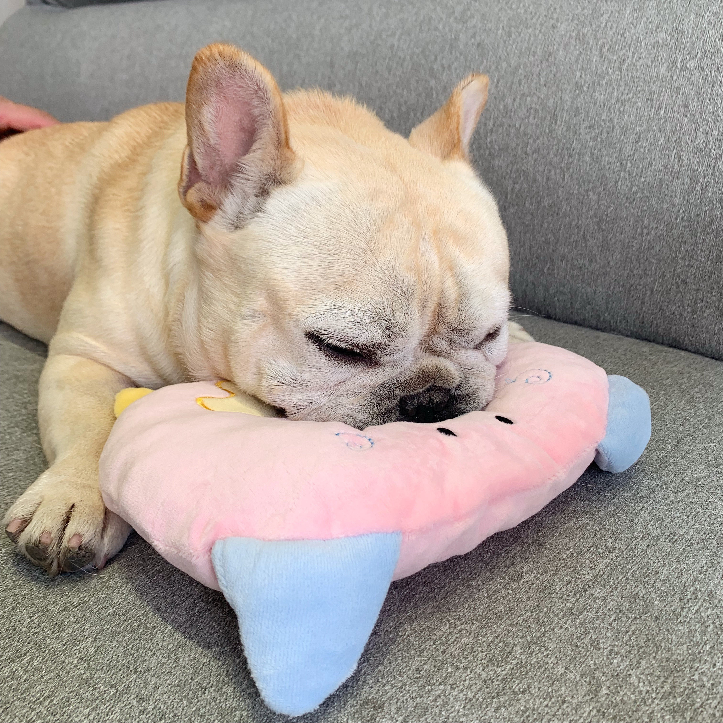 Dog Sleeping Pillow Mat Pet All Season Kitty not sticky Mao resistant to Tooth Fighting Tooth Toy Teddy Supplies