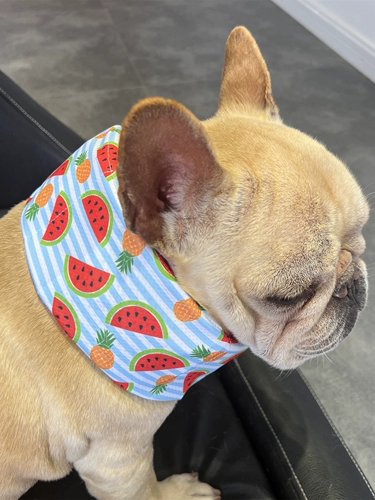 Летний охлаждающий шарф для выхода на улицу, сумка для льда