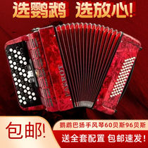 Parrot bayan accordion 60 bass 96 bass Italian beginner grade professional playing instrument