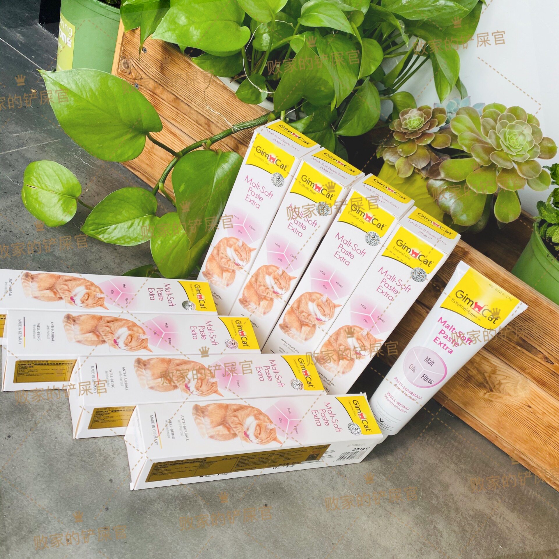 German Jun Bao Gimcat cat with reinforced malted hair cream to puff hair 200g