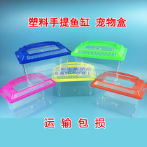 Small and medium-sized transparent portable breeding tank transport box turtle box plastic fish tank fish box pet box silkworm tadpole box