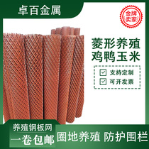 Steel Plate Mesh Ring Corn Steel Wire Breeding Chicken Duck Goose Home Ring Ground Safety Protection Isolated Red Rust Prevention Rhomboid Mesh