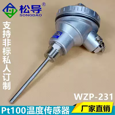 Pt100 temperature sensor WZP-231 230 assembled fixed thread electric heating couple Pt100 platinum thermal resistance