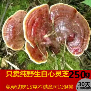 Guizhou Pure Wild Ganoderma Authentic Purple Ganoderma Changbai Mountain Premium White Heart Red Ganoderma Sprigs Soaked in Wine Black Ganoderma 250g