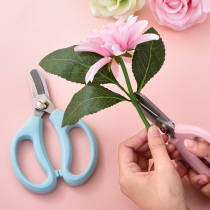 Del flower art scissors horticultural scissors repair Flower Branch scissors wide head household cutting edge sharp garden tools scissors set