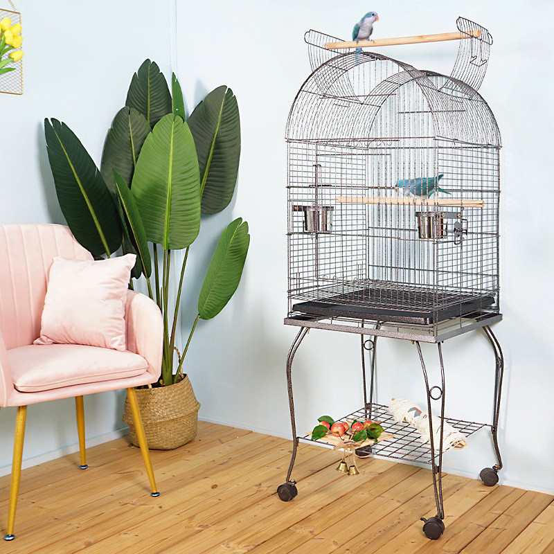 25 years new pet beauty medium-sized parrot cage｜luxurious bird's nest ...