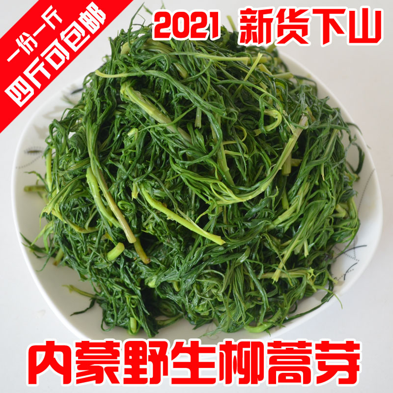 New stock Northeast Inner Mongolia Fresh willow Artemisia Sprout Vegetable Add Salt Frozen Tender Vegetable 500g Vacuum 4 catty