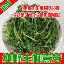 North Inner Mongolia pure wild willium bud with water plus ice bag to ship quick-frozen liuartemisia buds 1500 grams