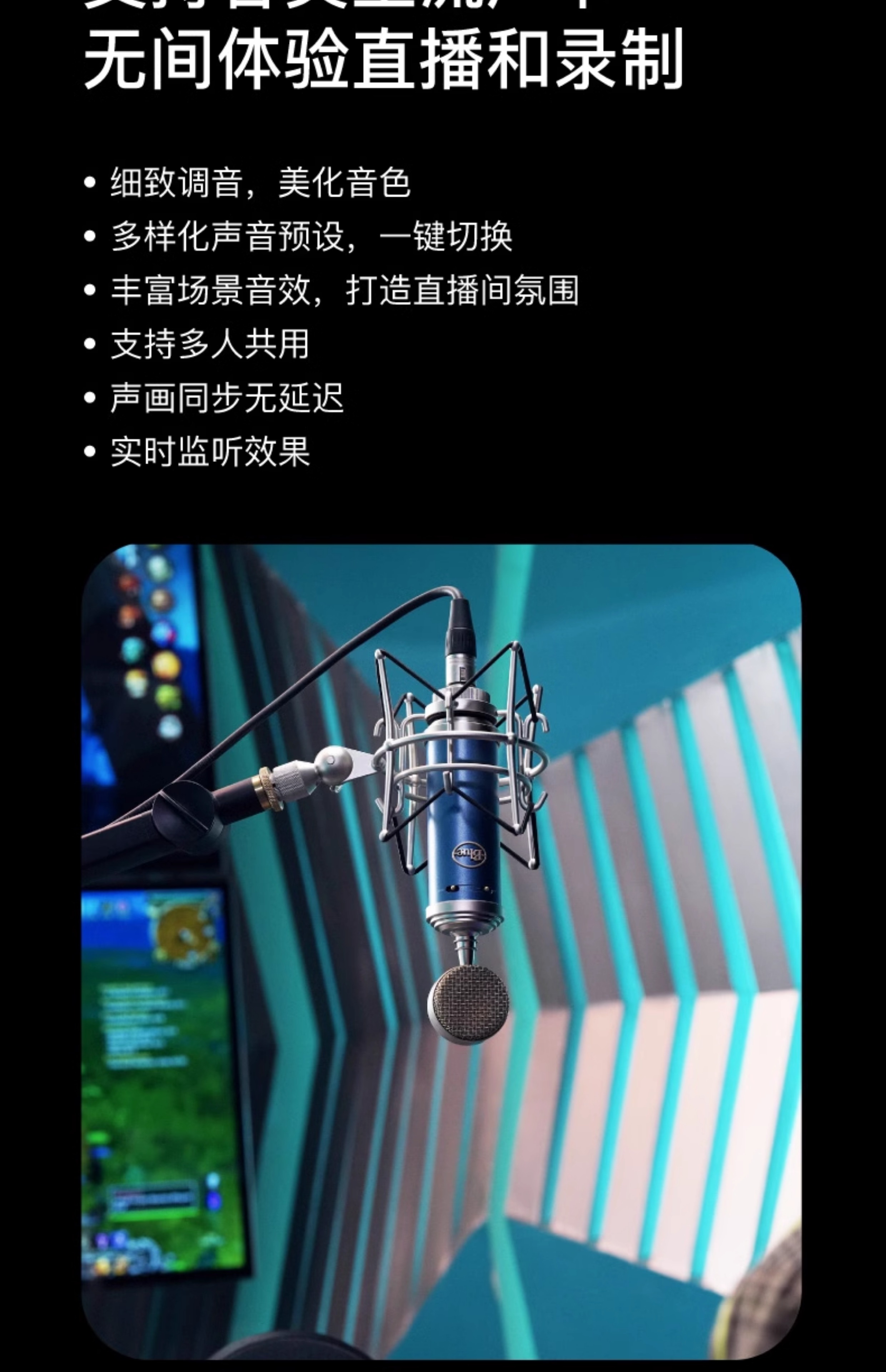 Blue BlueBird SL蓝鸟电容式麦克风专业话筒直播游戏K歌录音插图3