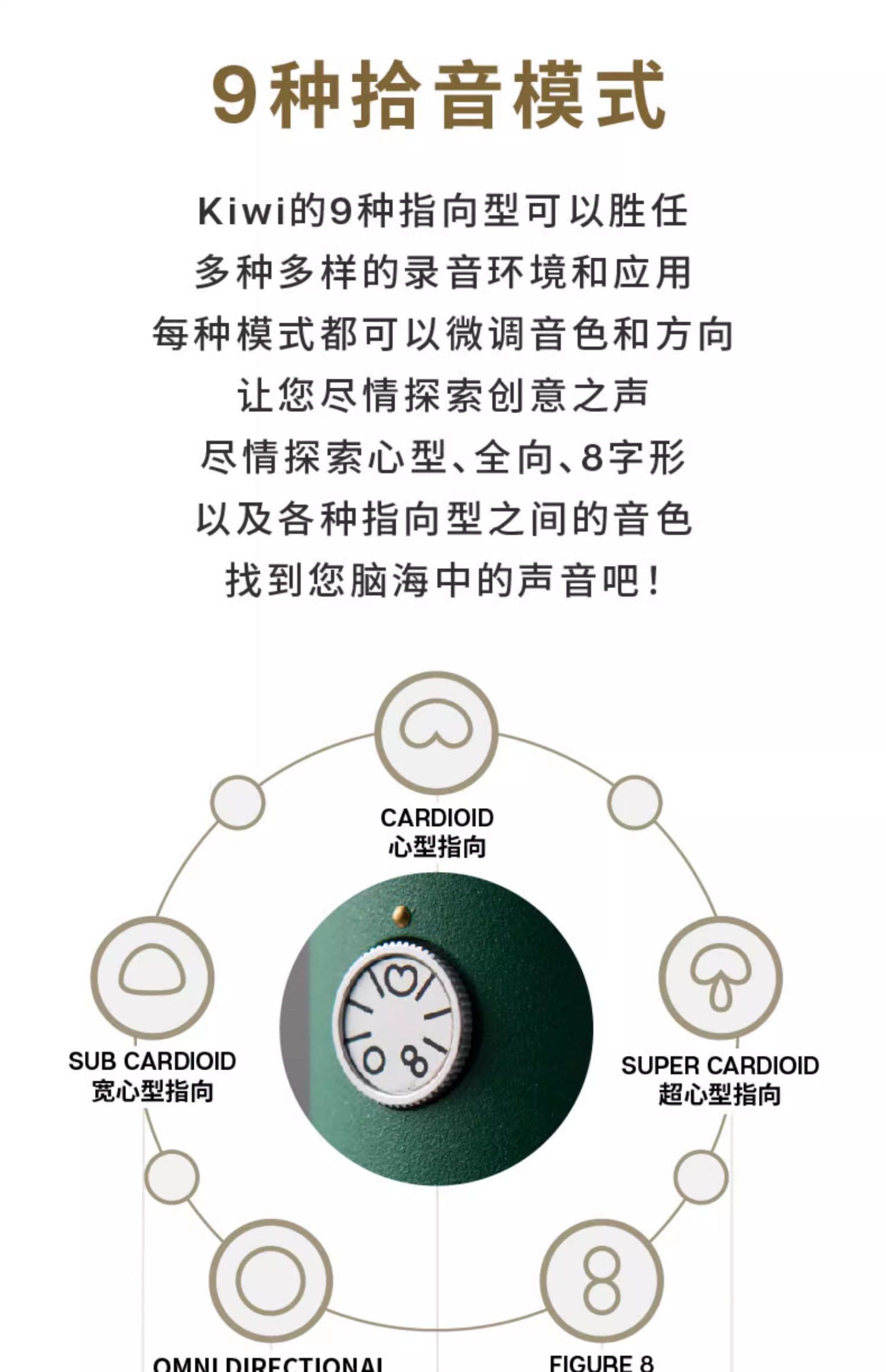 Blue Kiwi专业电容麦克风主播手机直播K歌有声书大振膜话筒