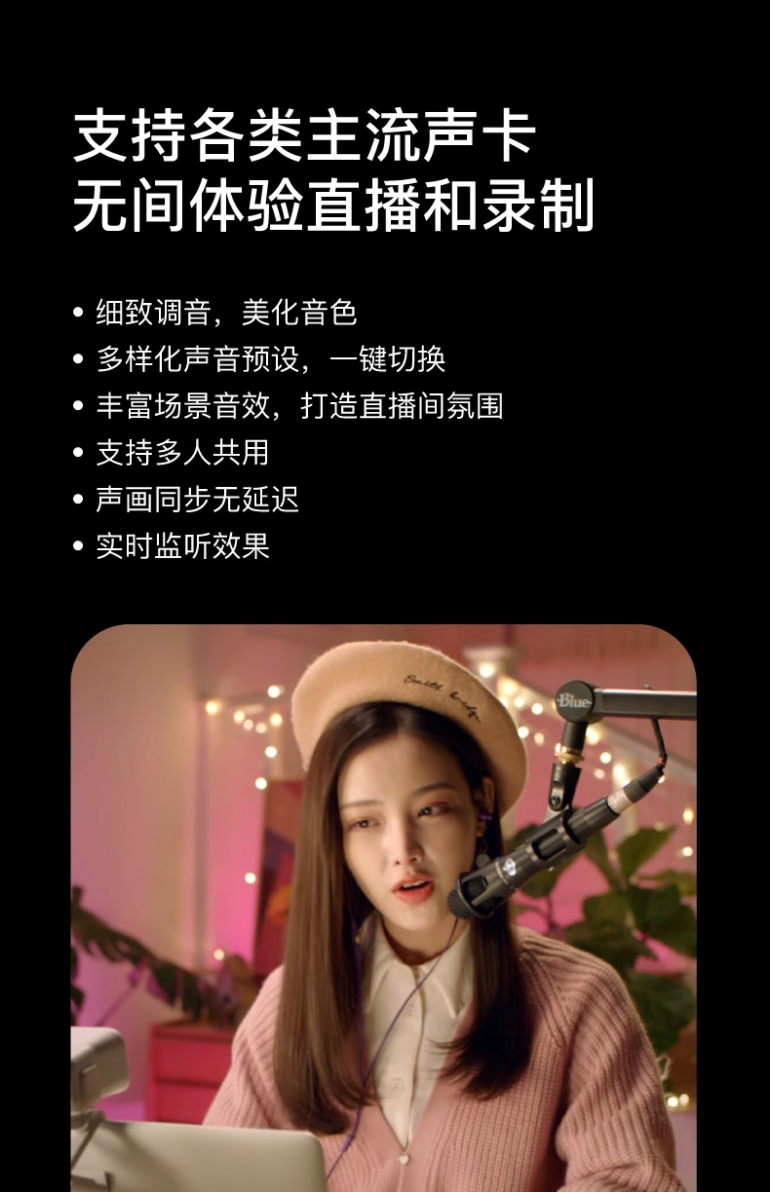 Blue E300/200/100 动圈电容麦克风专业话筒直播游戏K歌录音插图3