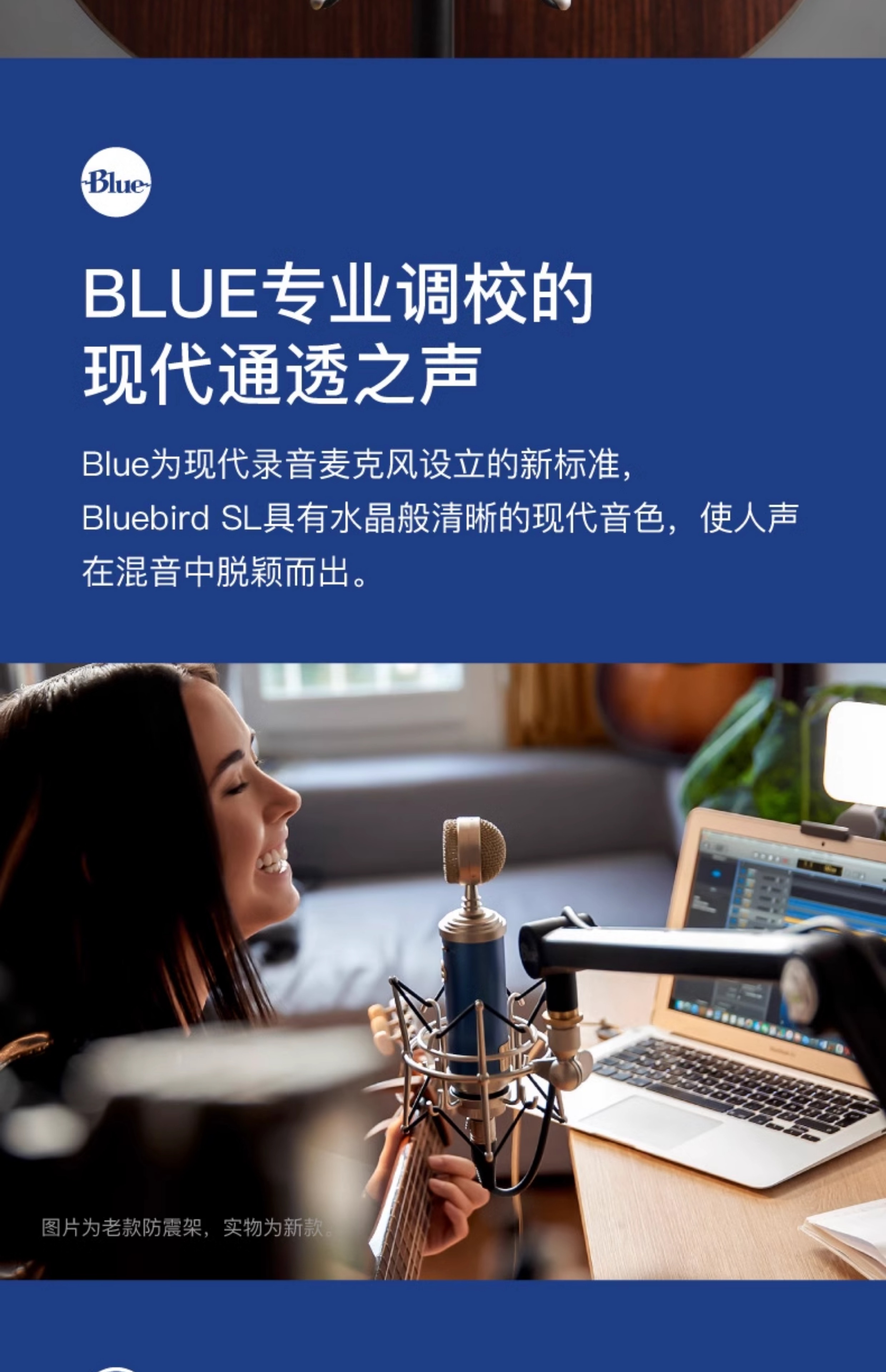 Blue BlueBird SL蓝鸟电容式麦克风专业话筒直播游戏K歌录音插图8