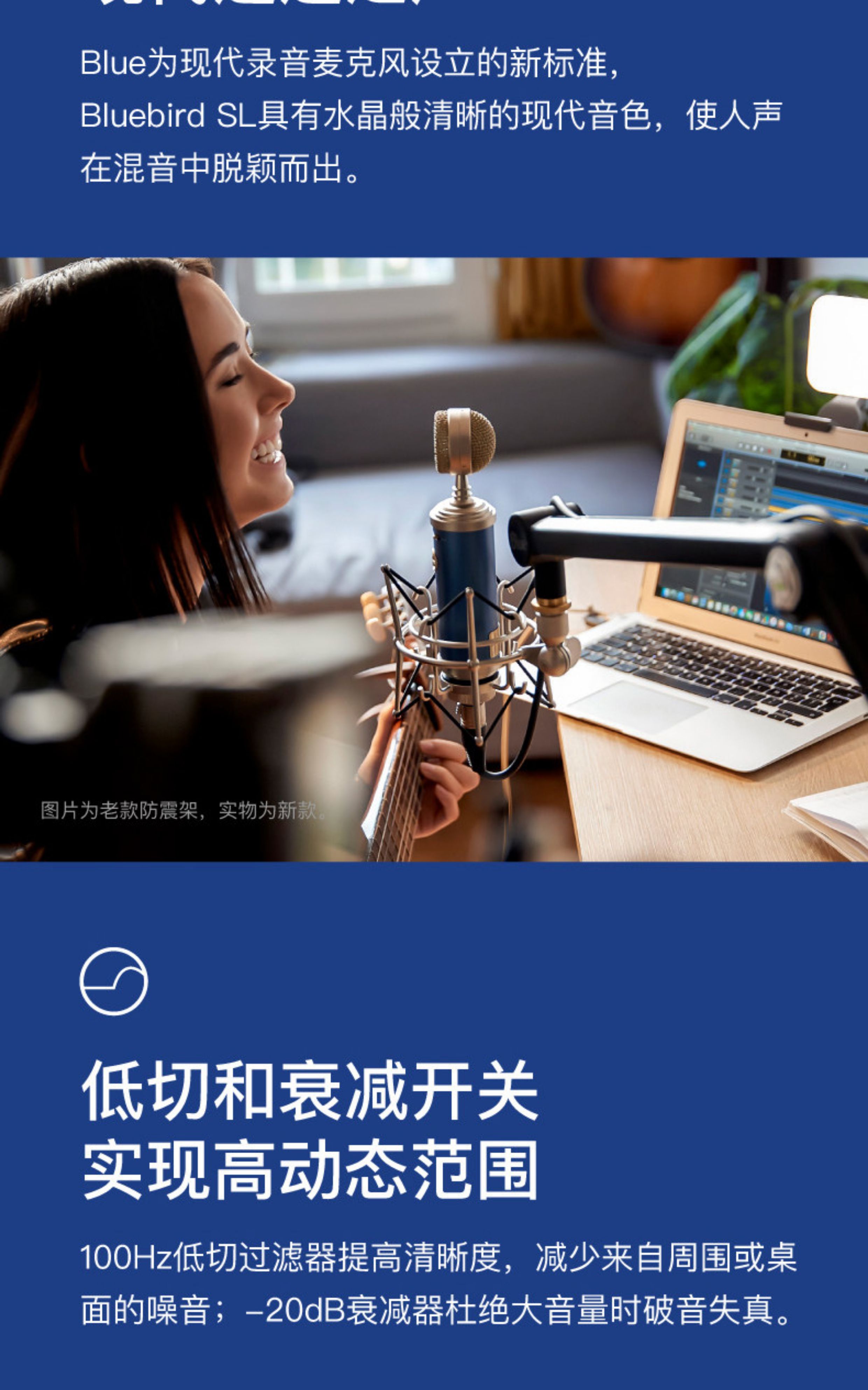 BlueBird SL蓝鸟电容式麦克风专业话筒直播游戏K歌录音说唱