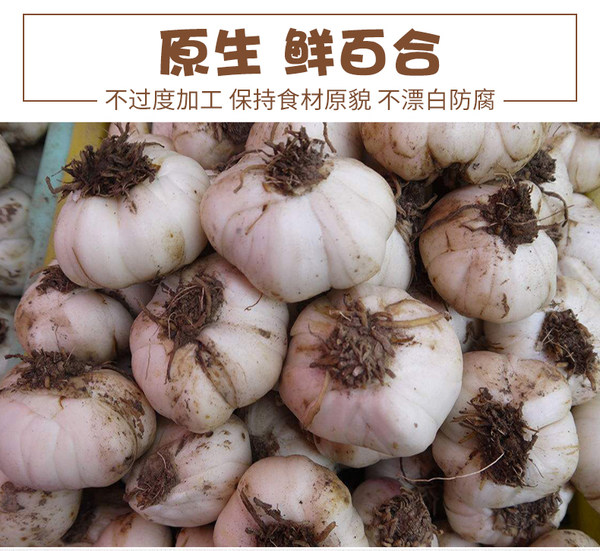 岷府人家 兰州新鲜甜百合 2斤 天猫优惠券折后￥28包邮（￥38-10）