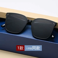 [T] -ins та же модель