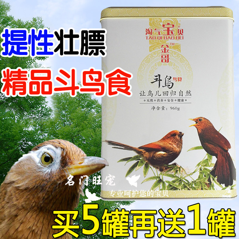 Birds fighting birds eat naughty baby bird fighting birds eat bird feed fighter bird singing bird to buy bird 5 send 1