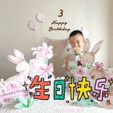 Ins Wind Pink Bunny Babies Flanchment Flunchment Полный ежемесячный линей