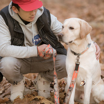 JC HOUSE collar worker 6 ways of farfetched multifunction Puppy Traction Rope Pet Traction with dog Tractor Dog Chain