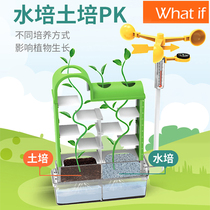 whatif plant maze planting experiment science meteorological monitoring hydroponic growth process record children toy gift