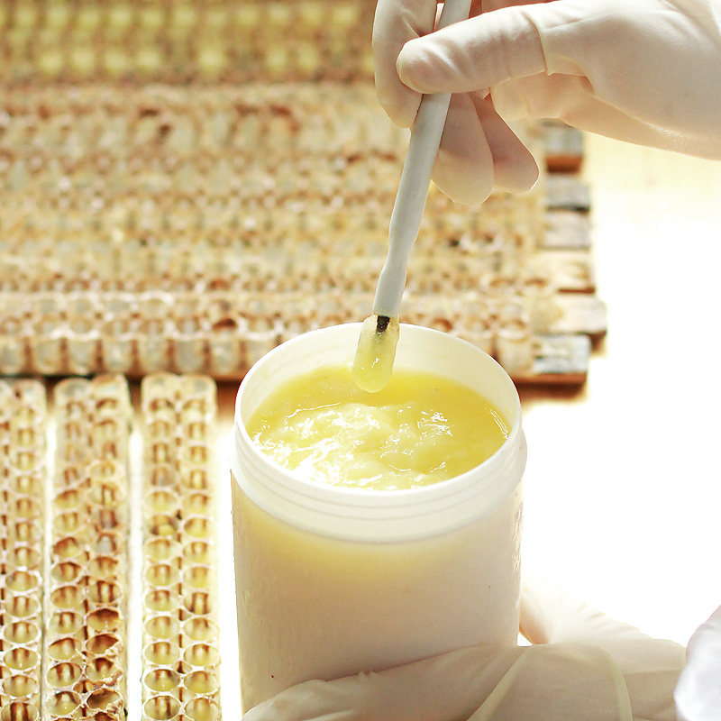 The new pulp is now taken from the deep mountain fresh royal jelly) royal jelly farmer self-produced SF air freight